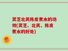灵芝北芪陈皮煮水的功效(灵芝、北芪、陈皮煮水的好处)