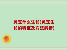 灵芝什么生长(灵芝生长的特征及方法解析)