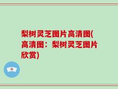 梨树灵芝图片高清图(高清图：梨树灵芝图片欣赏)