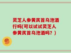 灵芝人参黄芪首乌泡酒行吗(可以试试灵芝人参黄芪首乌泡酒吗？)