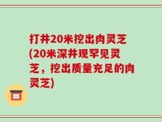打井20米挖出肉灵芝(20米深井现罕见灵芝，挖出质量充足的肉灵芝)