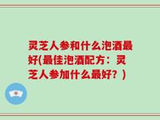 灵芝人参和什么泡酒最好(最佳泡酒配方：灵芝人参加什么最好？)