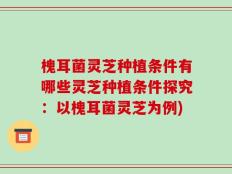 槐耳菌灵芝种植条件有哪些灵芝种植条件探究：以槐耳菌灵芝为例)