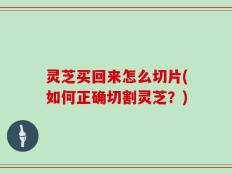 灵芝买回来怎么切片(如何正确切割灵芝？)