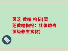 灵芝 黄精 枸杞(灵芝黄精枸杞：壮体益寿顶级养生食材)