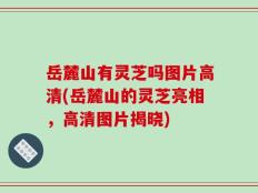 岳麓山有灵芝吗图片高清(岳麓山的灵芝亮相，高清图片揭晓)
