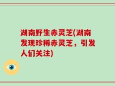 湖南野生赤灵芝(湖南发现珍稀赤灵芝，引发人们关注)