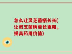 怎么让灵芝菌柄长长(让灵芝菌柄更长更粗，提高药用价值)