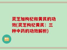 灵芝加枸杞和黄芪的功效(灵芝枸杞黄芪：三种中药的功效解析)
