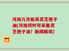 河南几月能采灵芝孢子油(河南何时可采集灵芝孢子油？新闻解读)