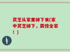 灵芝从家里掉下来(家中灵芝掉下，震惊全家！)