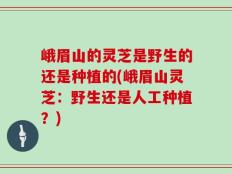 峨眉山的灵芝是野生的还是种植的(峨眉山灵芝：野生还是人工种植？)