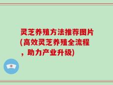 灵芝养殖方法推荐图片(高效灵芝养殖全流程，助力产业升级)