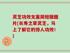 灵芝功效文案简短版图片(长寿之草灵芝，马上了解它的惊人功效！)