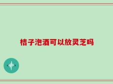 桔子泡酒可以放灵芝吗