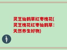 灵芝仙鹤草红枣槐花(灵芝槐花红枣仙鹤草：天然养生好物)