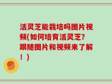 活灵芝能栽培吗图片视频(如何培育活灵芝？跟随图片和视频来了解！)