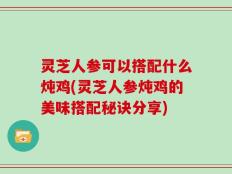 灵芝人参可以搭配什么炖鸡(灵芝人参炖鸡的美味搭配秘诀分享)