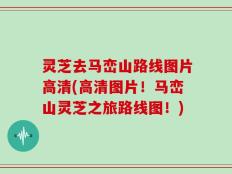 灵芝去马峦山路线图片高清(高清图片！马峦山灵芝之旅路线图！)