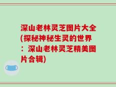 深山老林灵芝图片大全(探秘神秘生灵的世界：深山老林灵芝精美图片合辑)