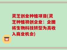 灵芝创业种植项目(灵芝种植初创企业：企图将生物科技转型为高收入商业机会)