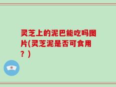 灵芝上的泥巴能吃吗图片(灵芝泥是否可食用？)