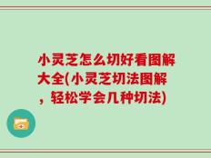 小灵芝怎么切好看图解大全(小灵芝切法图解，轻松学会几种切法)