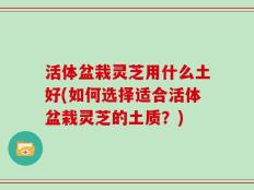 活体盆栽灵芝用什么土好(如何选择适合活体盆栽灵芝的土质？)
