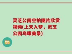 灵芝公园空拍图片欣赏视频(上天入梦，灵芝公园鸟瞰美景)