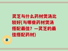 灵芝与什么药材煲汤比较好(与哪些药材煲汤搭配最佳？—灵芝的最佳搭配药材)
