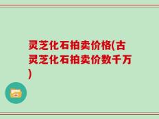 灵芝化石拍卖价格(古灵芝化石拍卖价数千万)