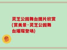 灵芝公园舞台图片欣赏(赏美景·灵芝公园舞台璀璨登场)