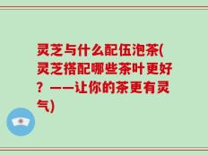 灵芝与什么配伍泡茶(灵芝搭配哪些茶叶更好？——让你的茶更有灵气)