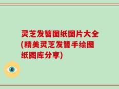 灵芝发簪图纸图片大全(精美灵芝发簪手绘图纸图库分享)