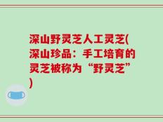 深山野灵芝人工灵芝(深山珍品：手工培育的灵芝被称为“野灵芝”)