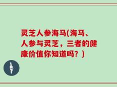 灵芝人参海马(海马、人参与灵芝，三者的健康价值你知道吗？)