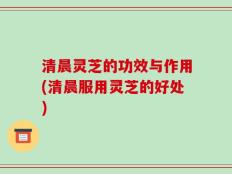 清晨灵芝的功效与作用(清晨服用灵芝的好处)