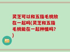 灵芝可以和五指毛桃放在一起吗(灵芝和五指毛桃能在一起种植吗？)
