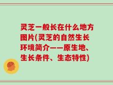 灵芝一般长在什么地方图片(灵芝的自然生长环境简介——原生地、生长条件、生态特性)