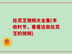 捡灵芝视频大全集(丰收时节，看看这些捡灵芝的视频)