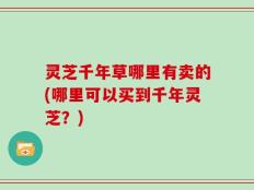 灵芝千年草哪里有卖的(哪里可以买到千年灵芝？)