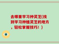 去哪里学习种灵芝(找到学习种植灵芝的地方，轻松掌握技巧！)