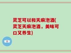 灵芝可以和天麻泡酒(灵芝天麻泡酒，美味可口又养生)
