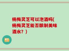 杨梅灵芝可以泡酒吗(杨梅灵芝能否酿制美味酒水？)