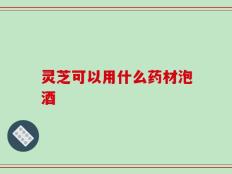 灵芝可以用什么药材泡酒