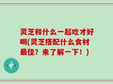 灵芝和什么一起吃才好喝(灵芝搭配什么食材最佳？来了解一下！)