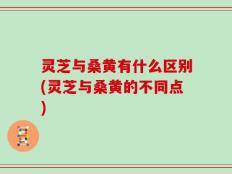 灵芝与桑黄有什么区别(灵芝与桑黄的不同点)