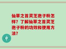 仙草之首灵芝孢子粉怎样？了解仙草之首灵芝孢子粉的功效和使用方法？