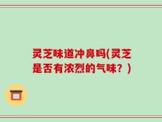 灵芝味道冲鼻吗(灵芝是否有浓烈的气味？)