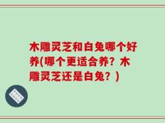 木雕灵芝和白兔哪个好养(哪个更适合养？木雕灵芝还是白兔？)